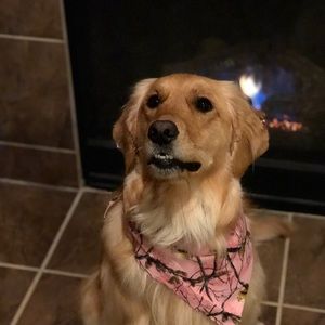 Meet your Posher, Heather